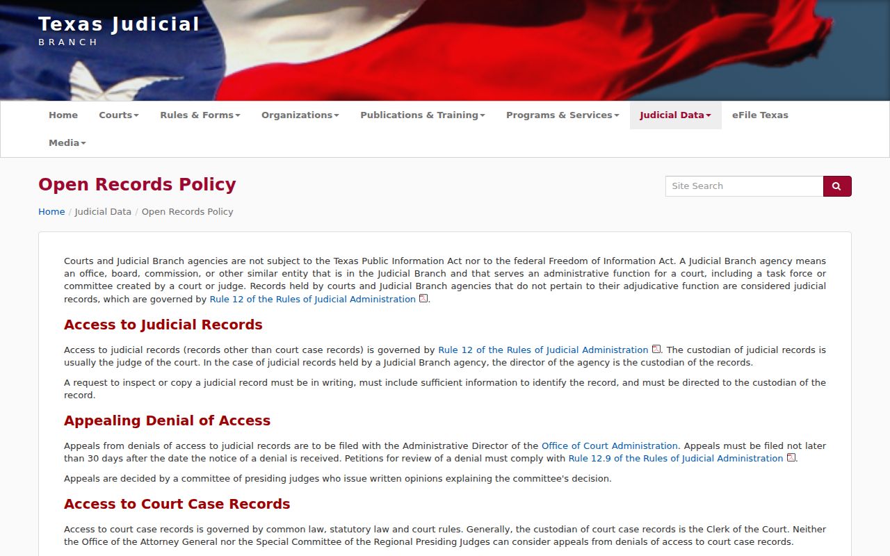 Borden County most-wanted records: Texas judicial access policy and court-record distinction